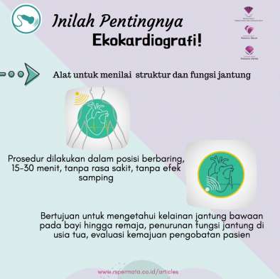 Inilah Pentingnya Ekokardiografi!