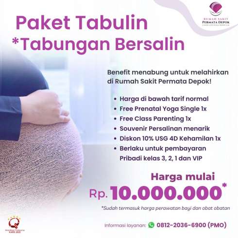 Tabungan Ibu Bersalin